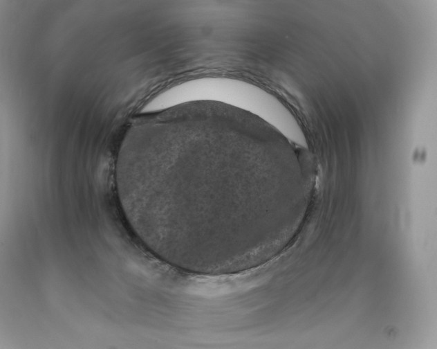 X0000089940029200707271828