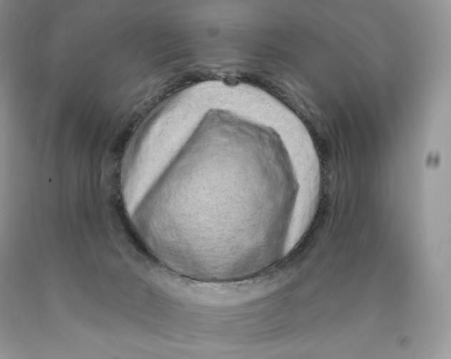 X0000089940030200707271828