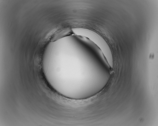 X0000089940031200707271828