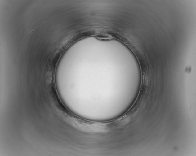 X0000089940032200707271827