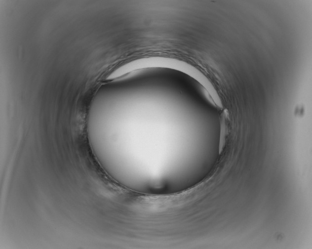 X0000089940033200707271827