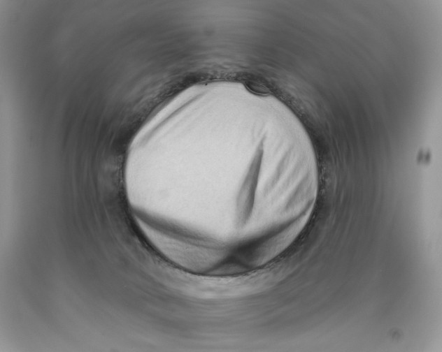 X0000089940034200707271827