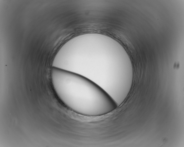 X0000089940035200707271827