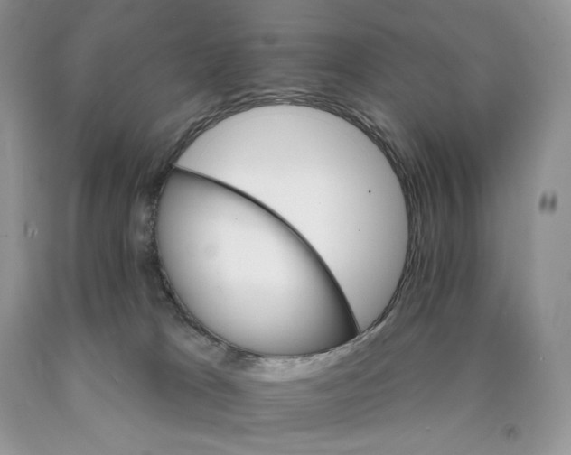 X0000089940037200707271827