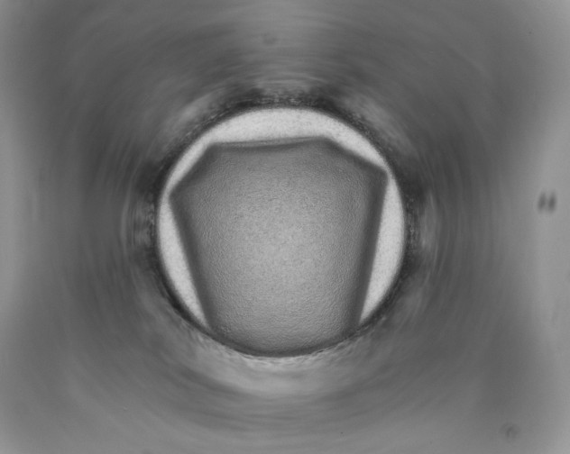 X0000089940038200707271827