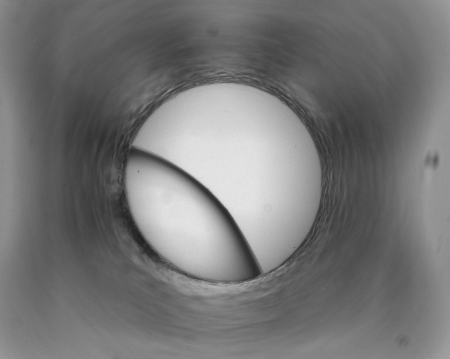 X0000089940039200707271827