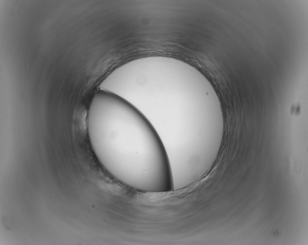X0000089940041200707271827