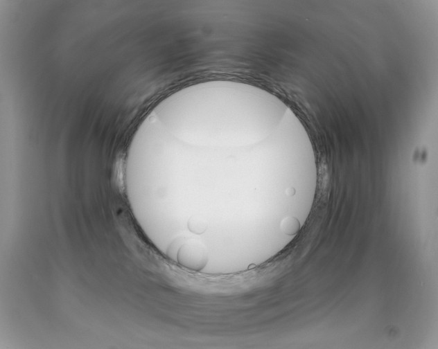 X0000089940042200707271827
