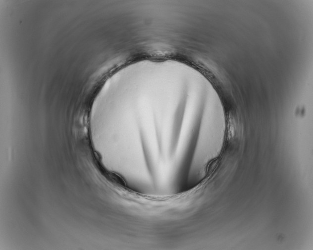 X0000089940043200707271827