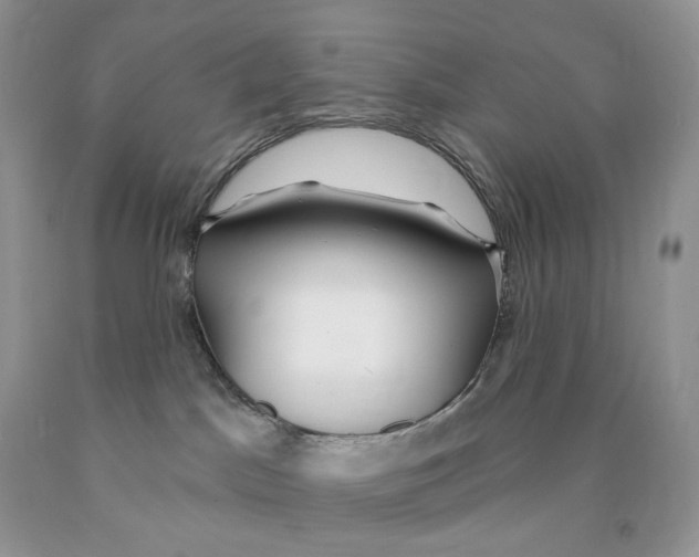 X0000089940045200707271827