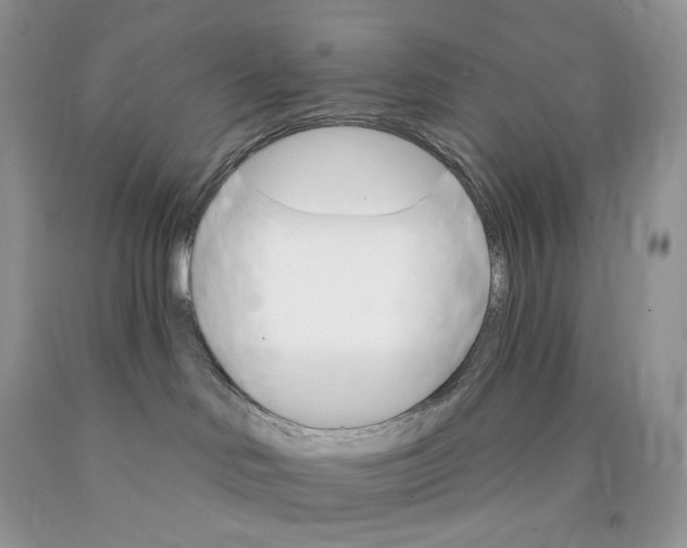 X0000089940046200707271827
