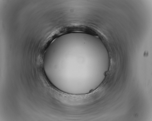 X0000089940048200707271827