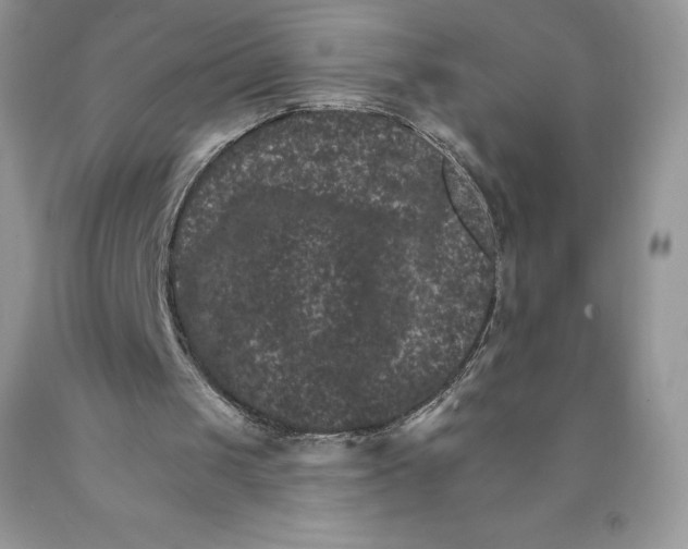 X0000089940049200707271827
