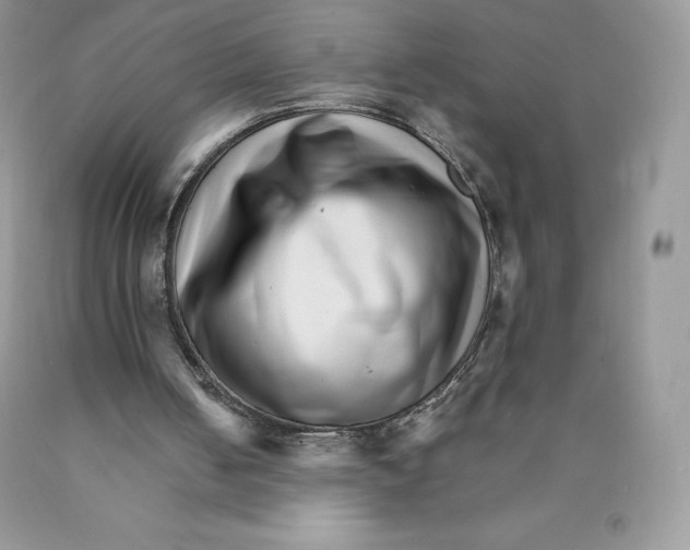 X0000089940050200707271827