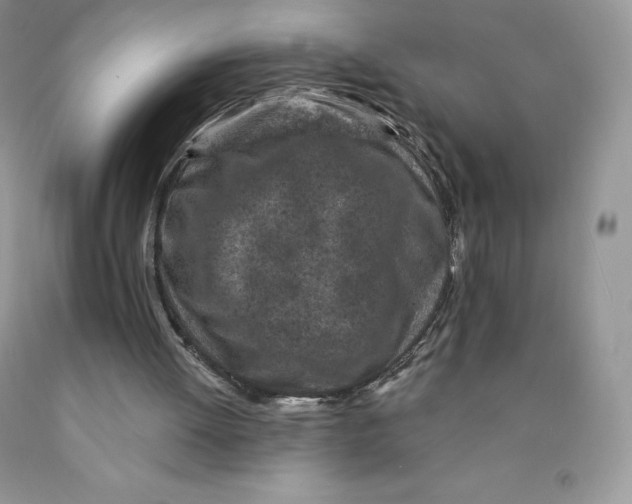X0000089940052200707271827