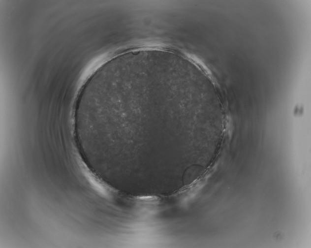 X0000089940053200707271827
