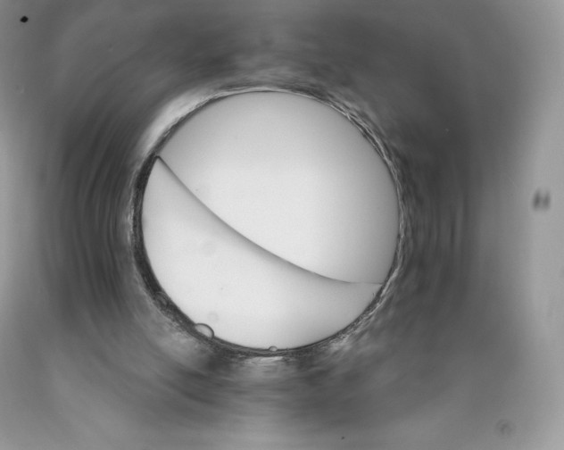 X0000089940054200707271827