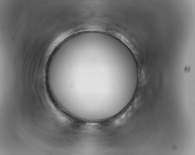 X0000089940055200707271827