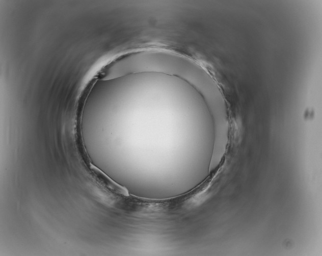 X0000089940056200707271827