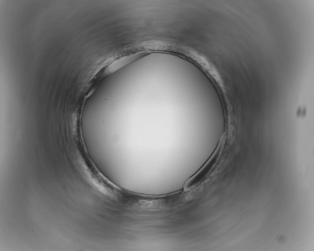 X0000089940057200707271827