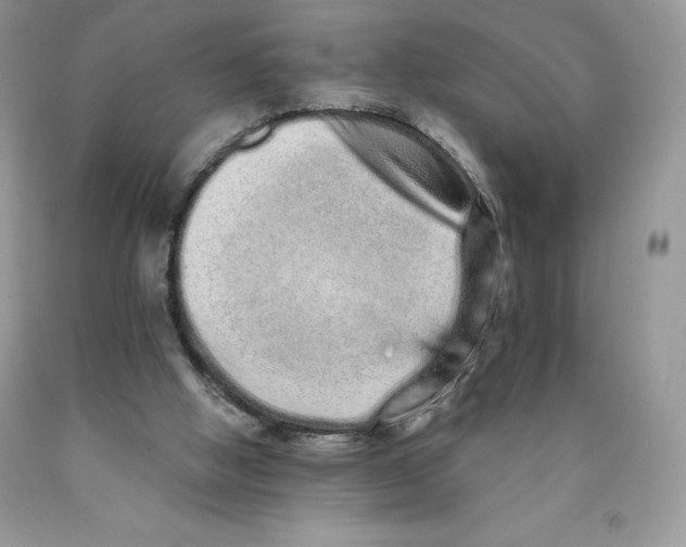 X0000089940058200707271827