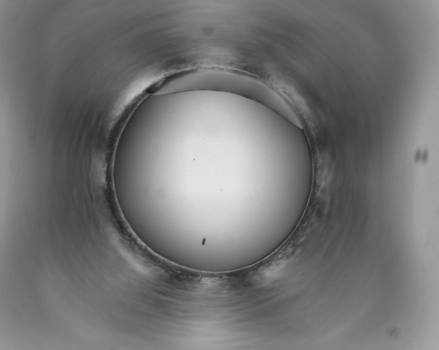 X0000089940060200707271827