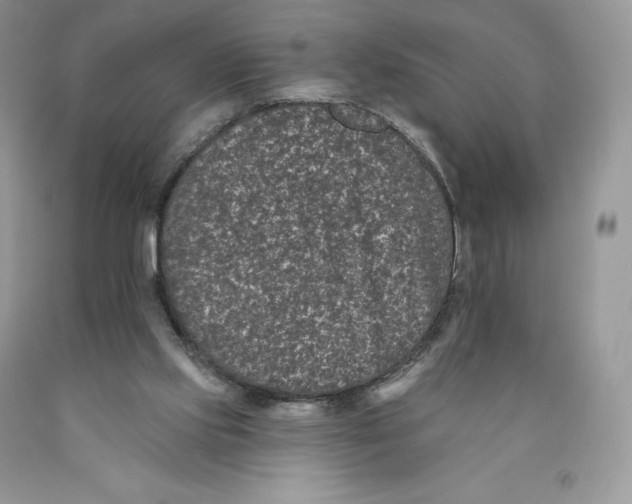 X0000089940061200707271827