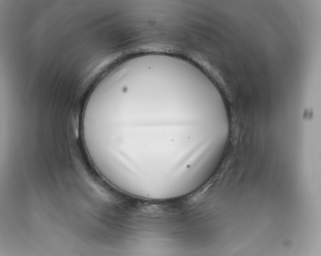 X0000089940062200707271827