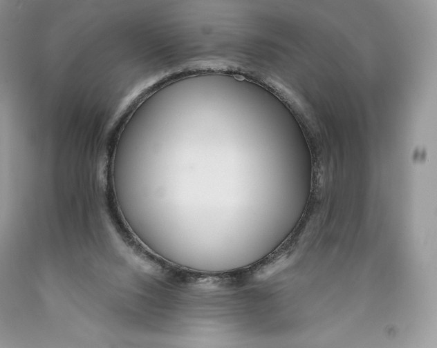 X0000089940064200707271827