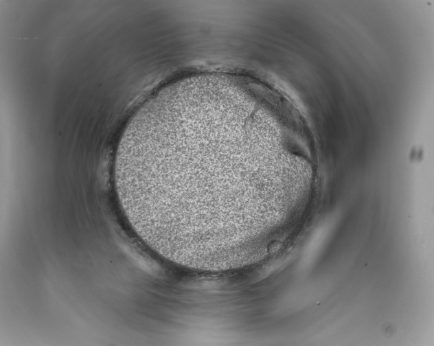 X0000089940065200707271827