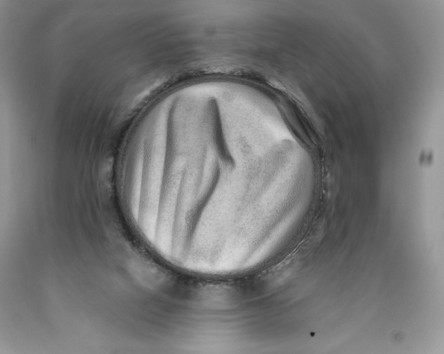 X0000089940066200707271827