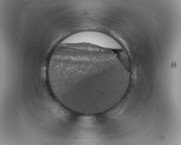 X0000089940067200707271827