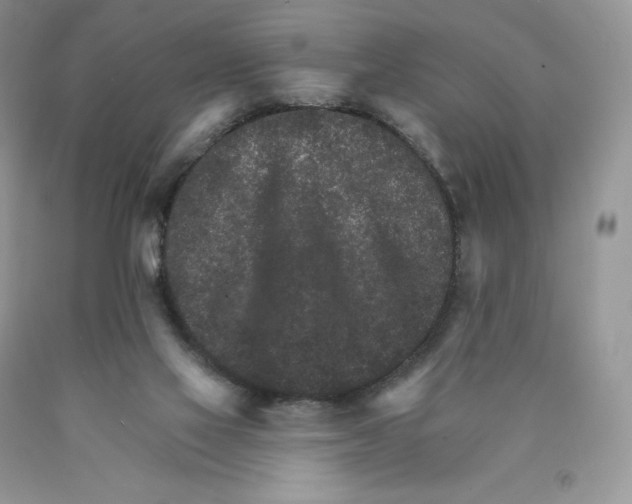 X0000089940069200707271827