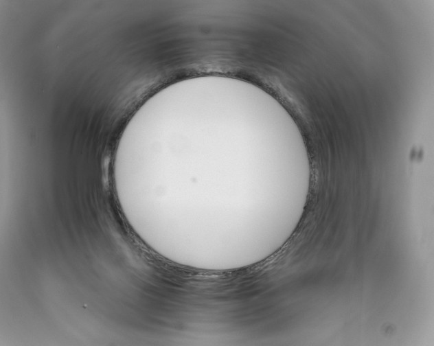 X0000089940070200707271827