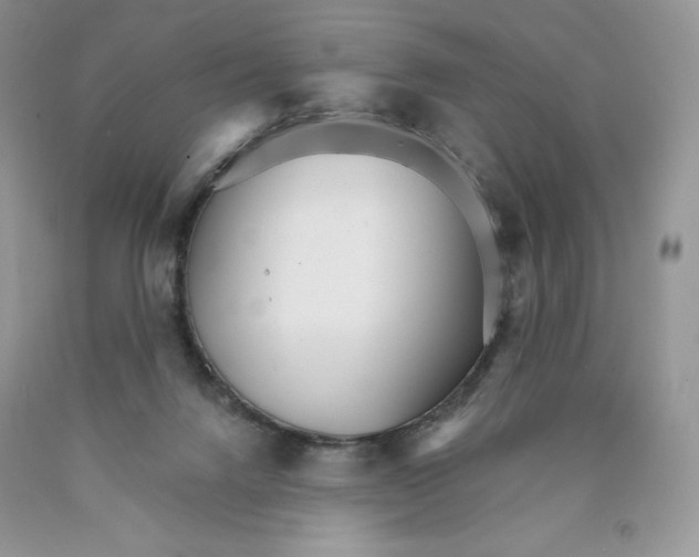 X0000089940072200707271827