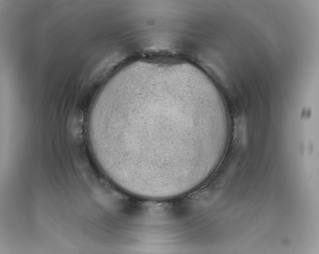X0000089940073200707271827