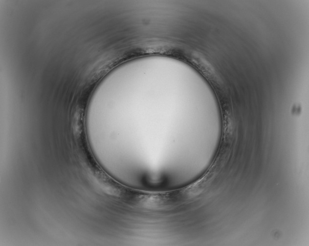 X0000089940074200707271827
