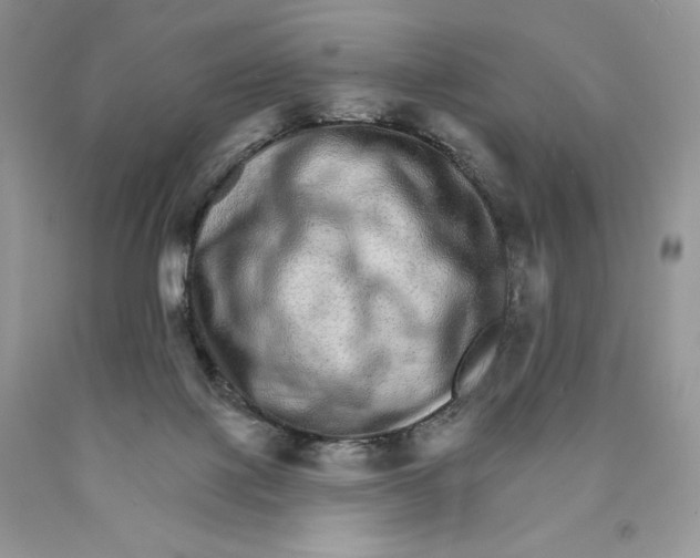 X0000089940075200707271827