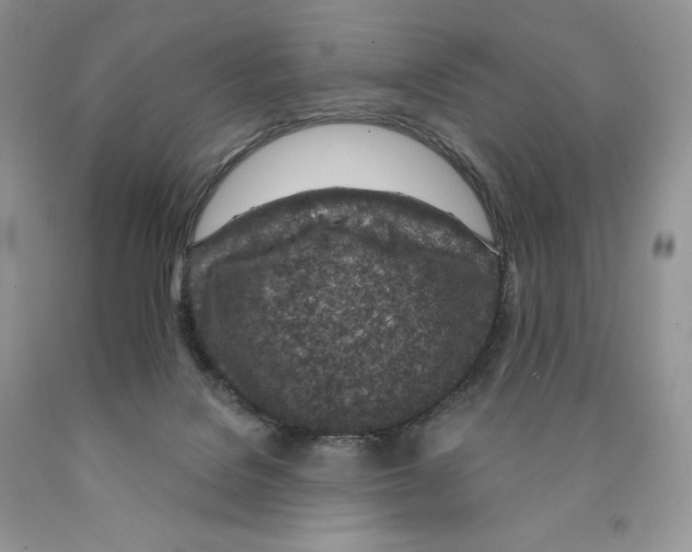 X0000089940076200707271827