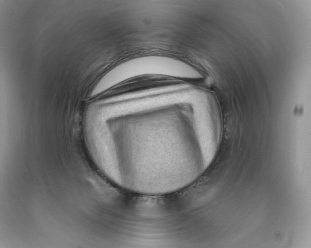 X0000089940077200707271827