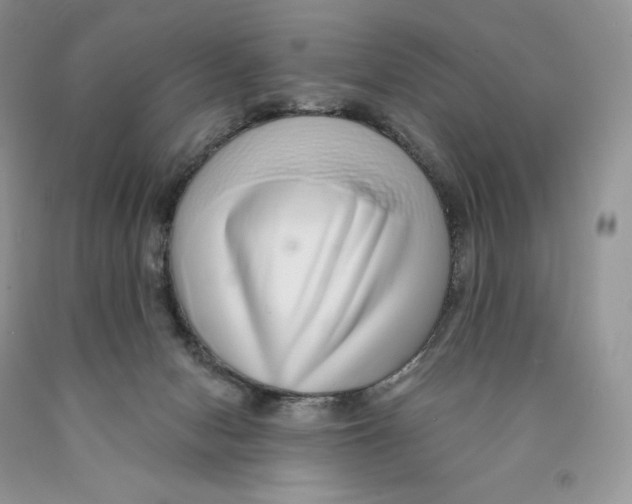 X0000089940078200707271827