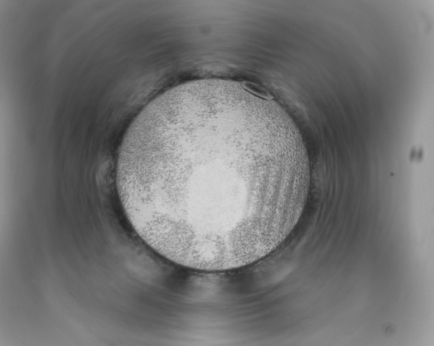 X0000089940079200707271827