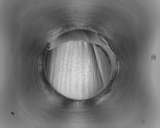 X0000089940080200707271827