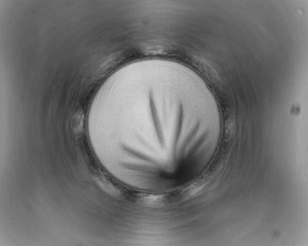 X0000089940081200707271827