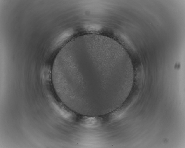 X0000089940083200707271827