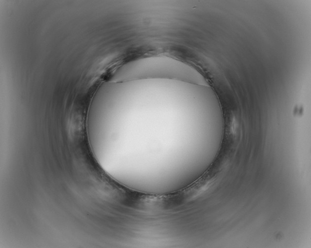 X0000089940084200707271827