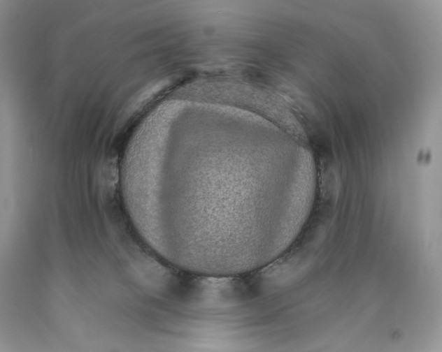 X0000089940085200707271827