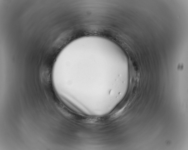 X0000089940086200707271827
