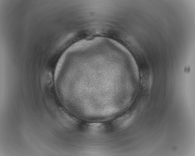 X0000089940087200707271827