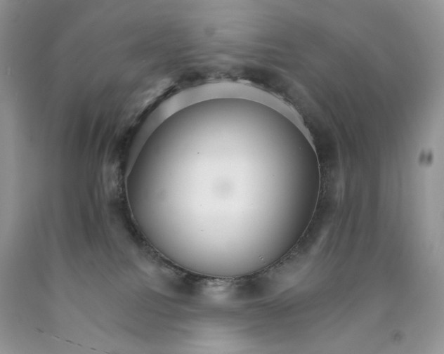 X0000089940088200707271827